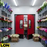 Busy floral cooler environment with staff moving flowers through high-use cooler access doors
