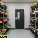 Small walk-in floral cooler layout with flower storage racks and a single access door for daily operations