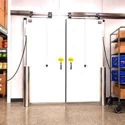 Temperature controlled cold storage door resized